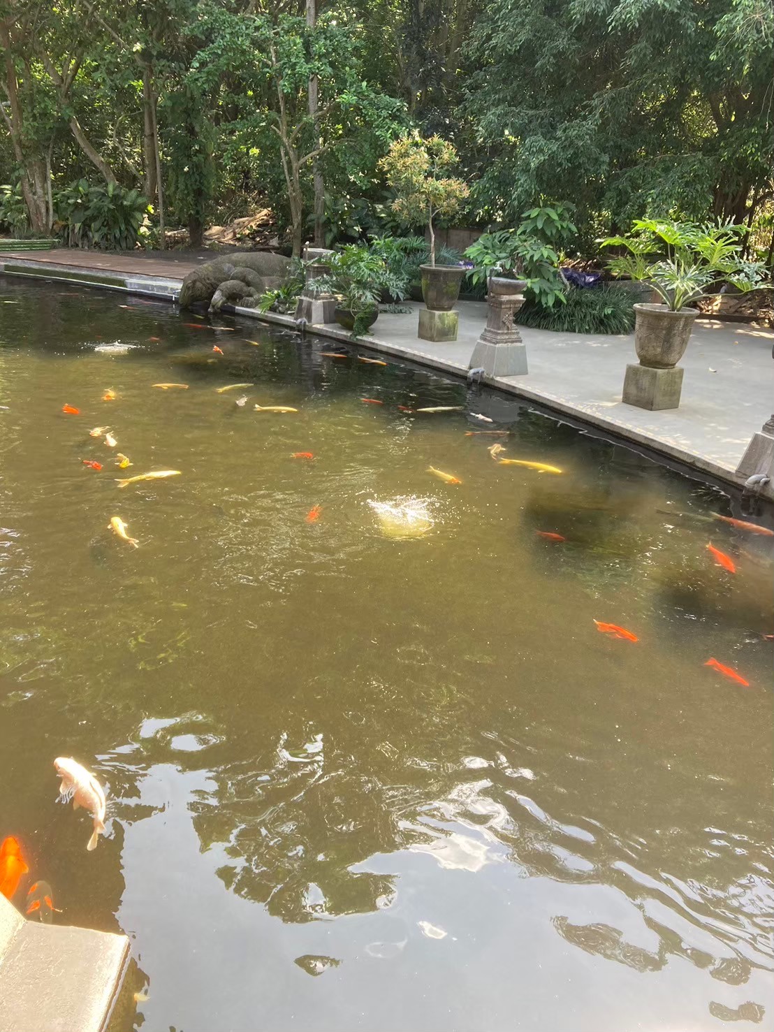 聖猴森林 https://dtks6emtee9cj.cloudfront.net/20240523/2149.jpg