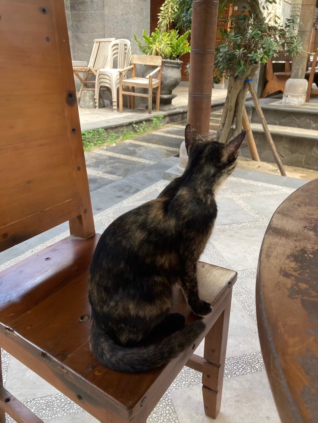 玩水午餐 https://dtks6emtee9cj.cloudfront.net/20240523/3058.jpg