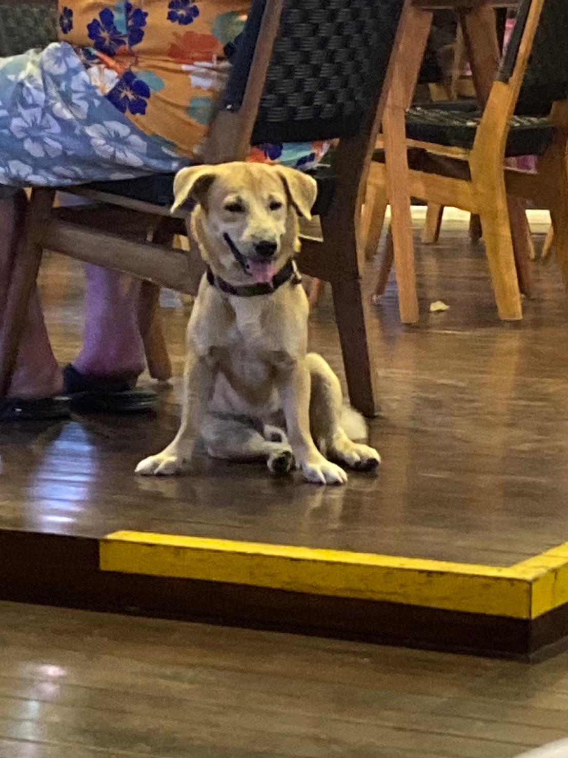 fox hotel https://dtks6emtee9cj.cloudfront.net/20240523/3070.jpg