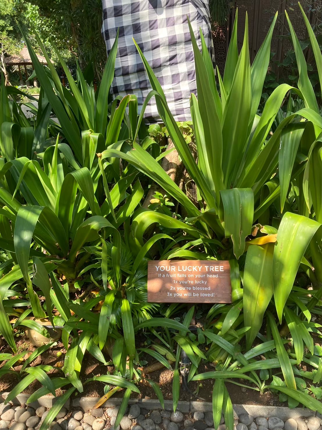 安達仕 https://dtks6emtee9cj.cloudfront.net/20240523/4020.jpg