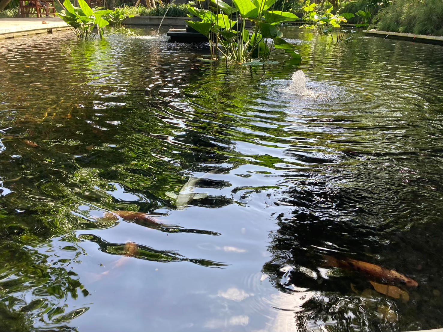 安達仕 https://dtks6emtee9cj.cloudfront.net/20240523/4021.jpg