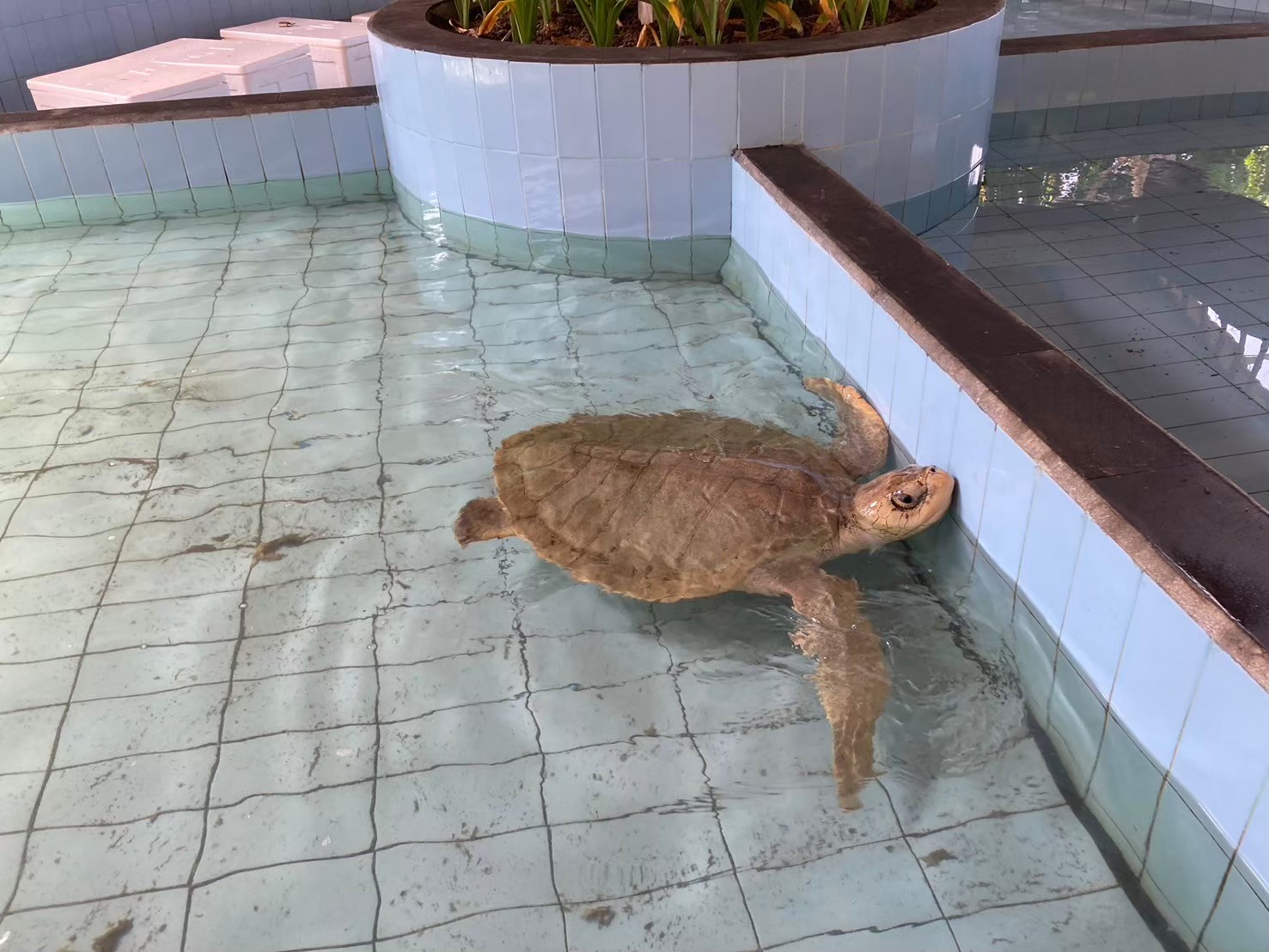 安達仕 https://dtks6emtee9cj.cloudfront.net/20240523/4026.jpg