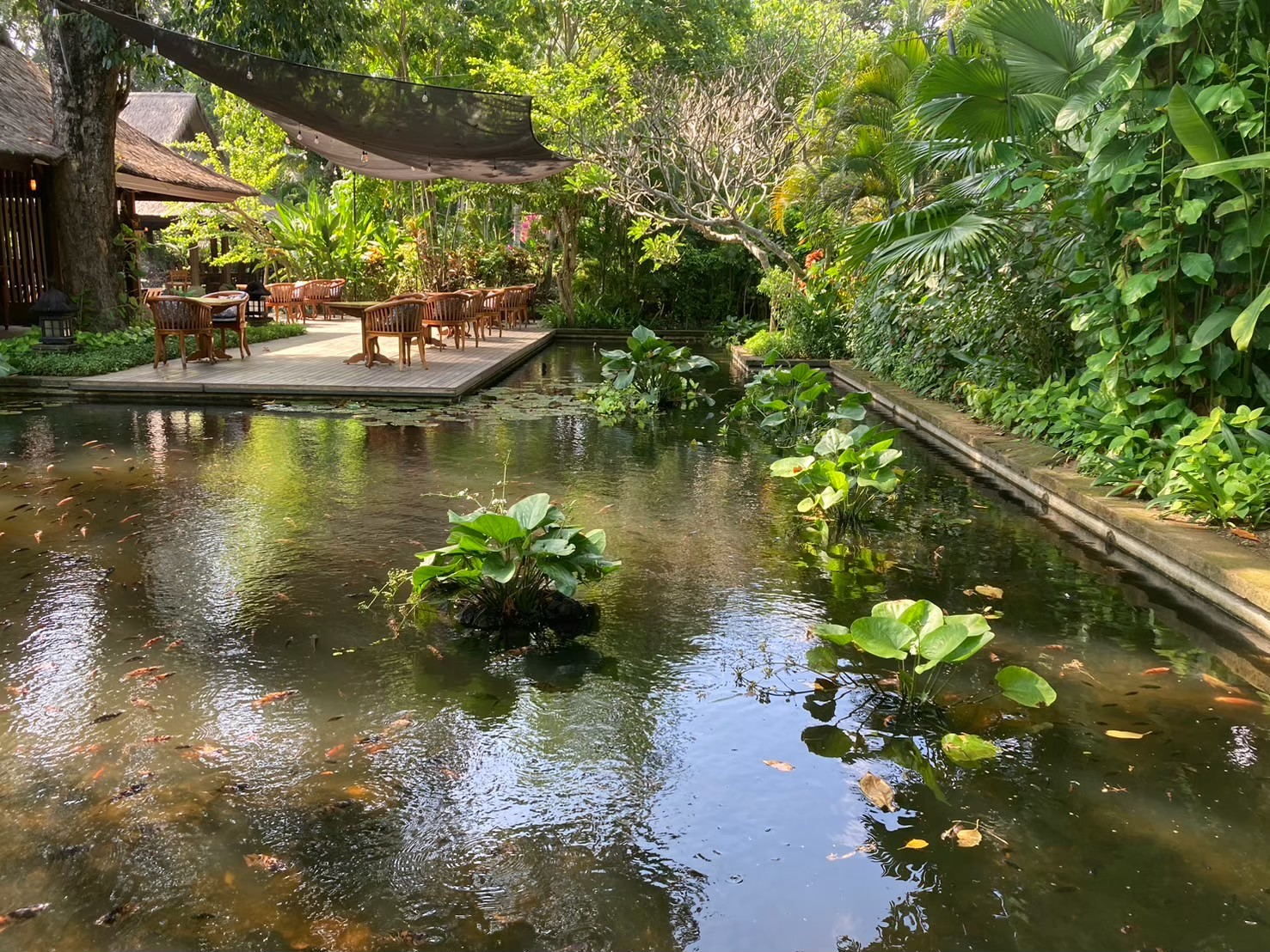 安達仕 https://dtks6emtee9cj.cloudfront.net/20240523/4037.jpg