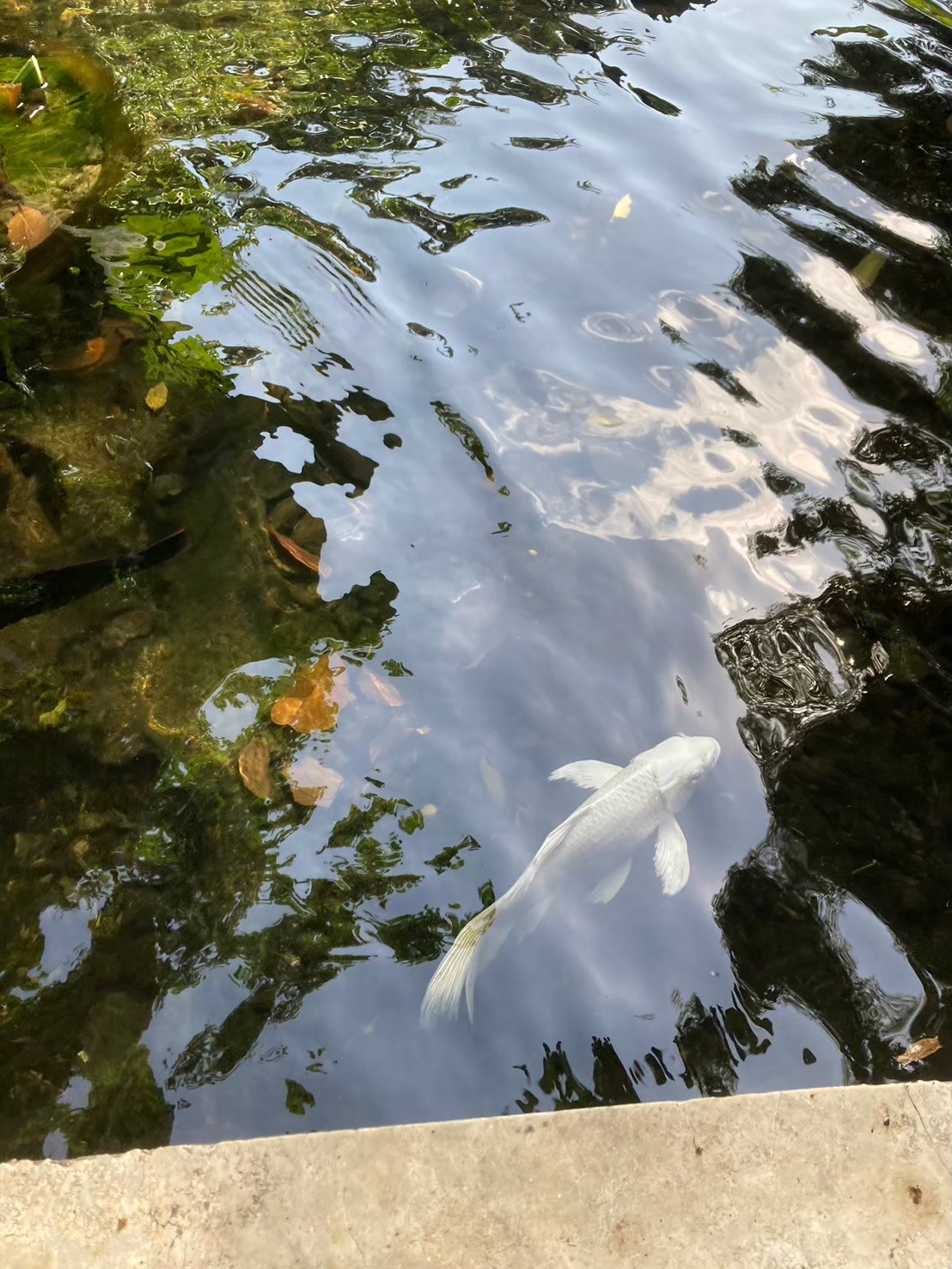 安達仕 https://dtks6emtee9cj.cloudfront.net/20240523/4168.jpg