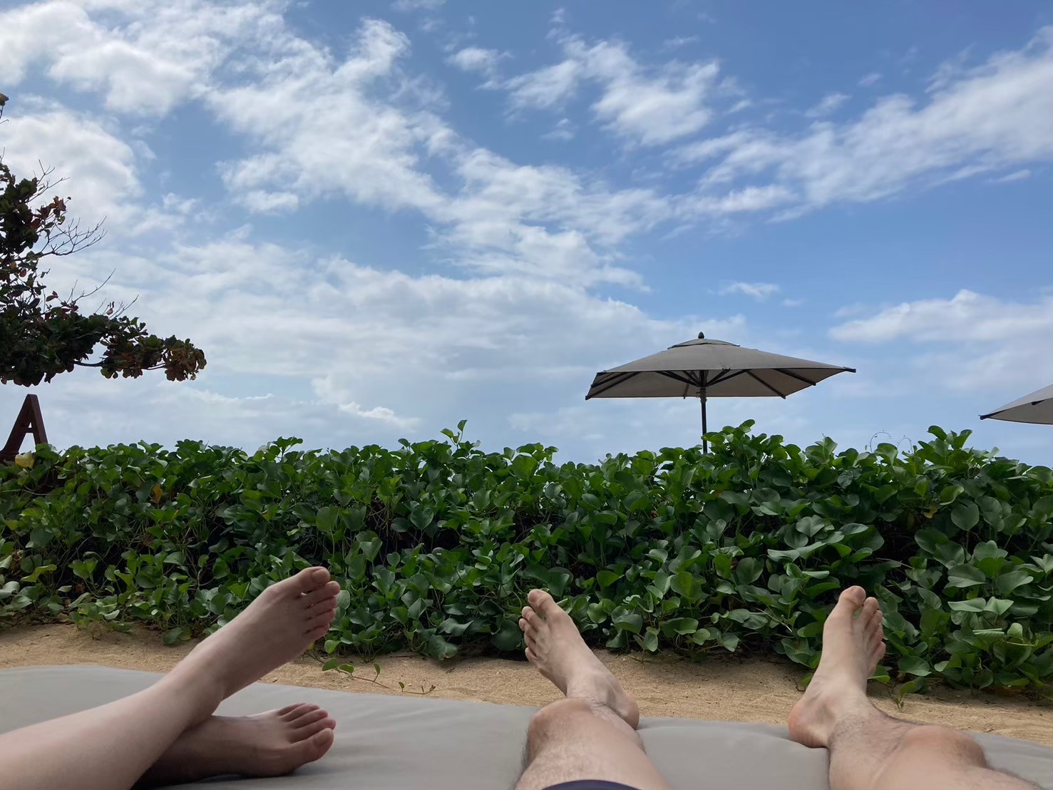 安達仕 https://dtks6emtee9cj.cloudfront.net/20240523/5014.jpg