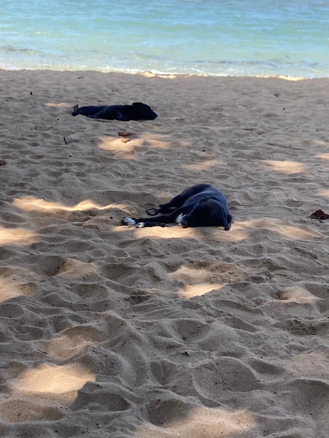 安達仕 https://dtks6emtee9cj.cloudfront.net/20240523/5092.jpg