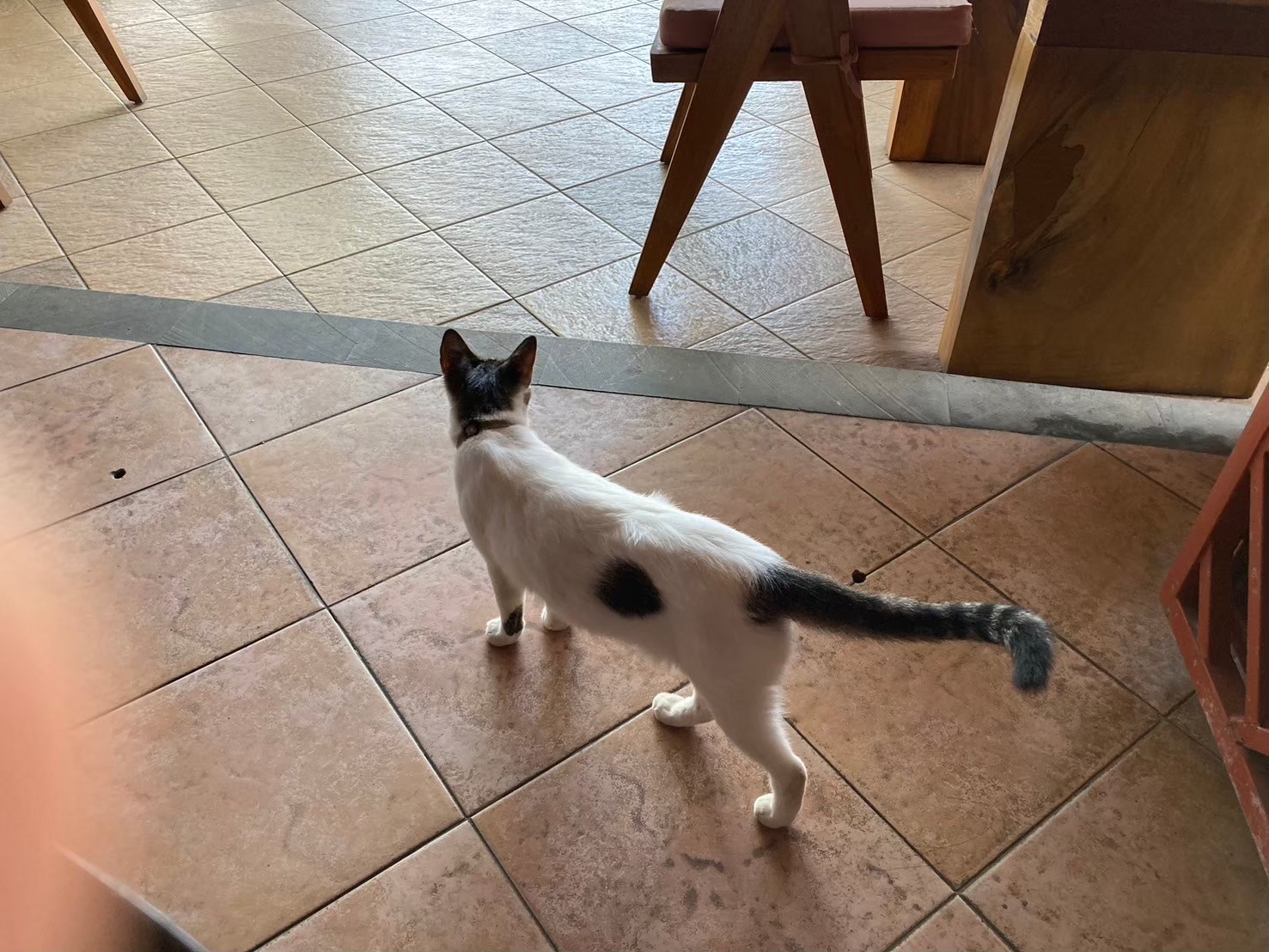 安達仕 https://dtks6emtee9cj.cloudfront.net/20240523/6056.jpg