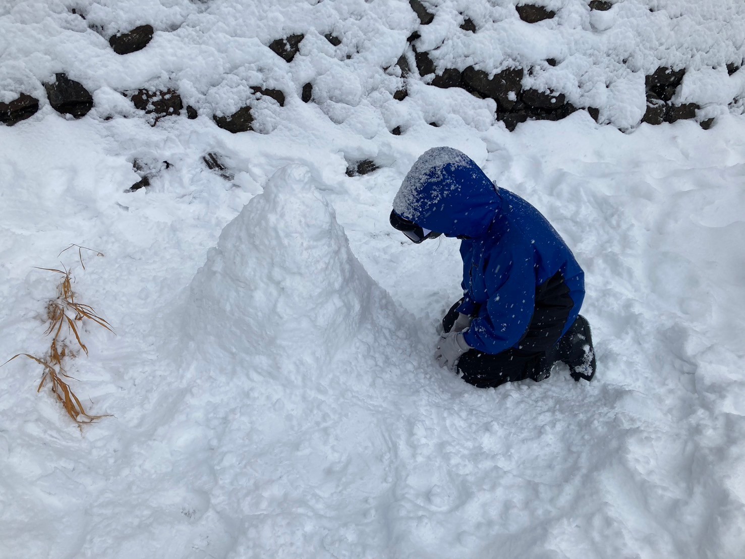 阿俊 https://dtks6emtee9cj.cloudfront.net/20241130/108.jpg