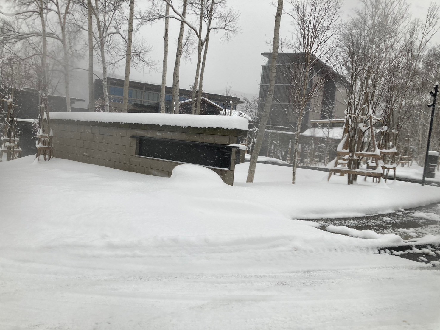 柏悅再見 https://dtks6emtee9cj.cloudfront.net/20241130/168.jpg