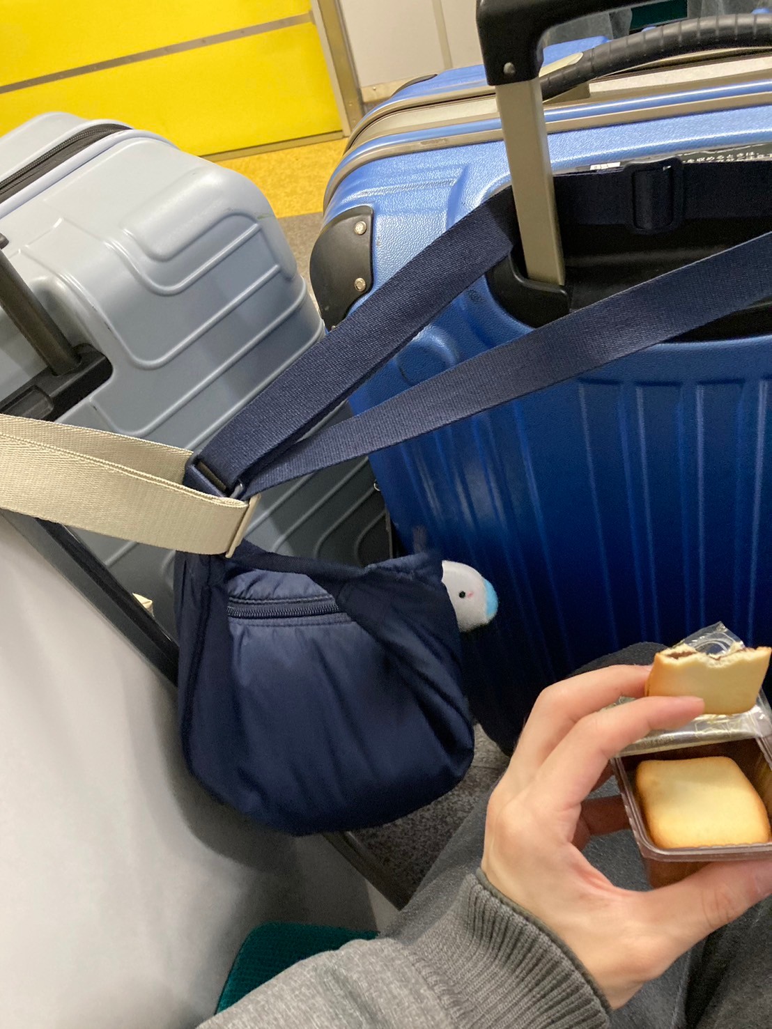 JR 返程 https://dtks6emtee9cj.cloudfront.net/20241130/201.jpg