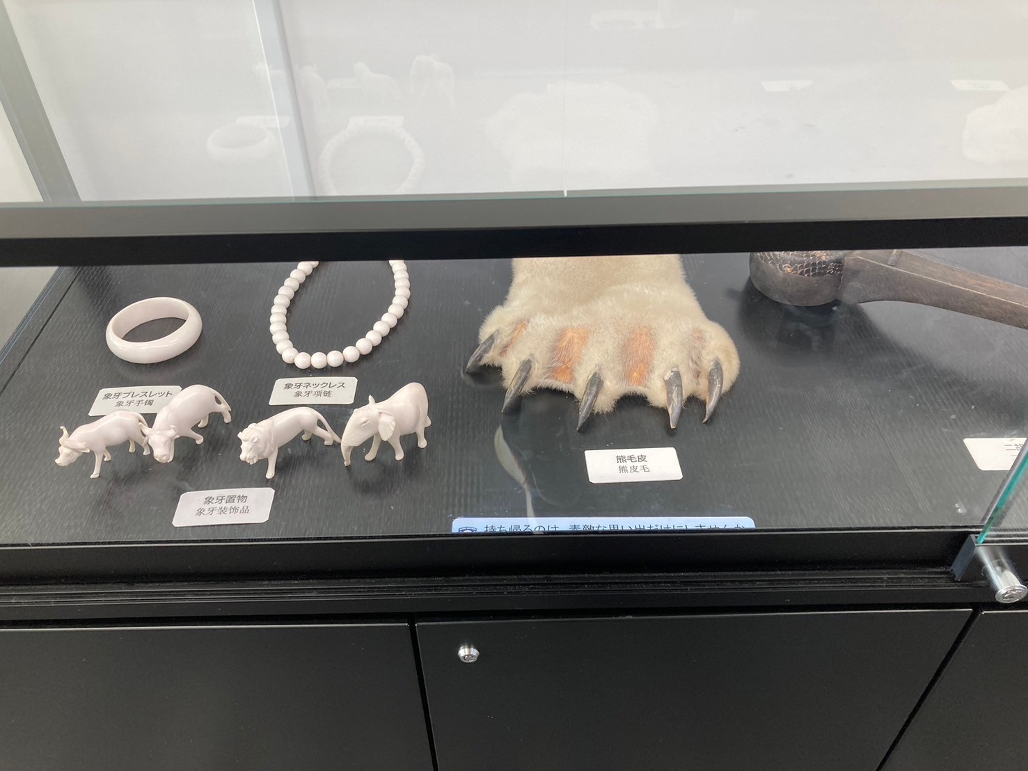 機場 https://dtks6emtee9cj.cloudfront.net/20241130/210.jpg