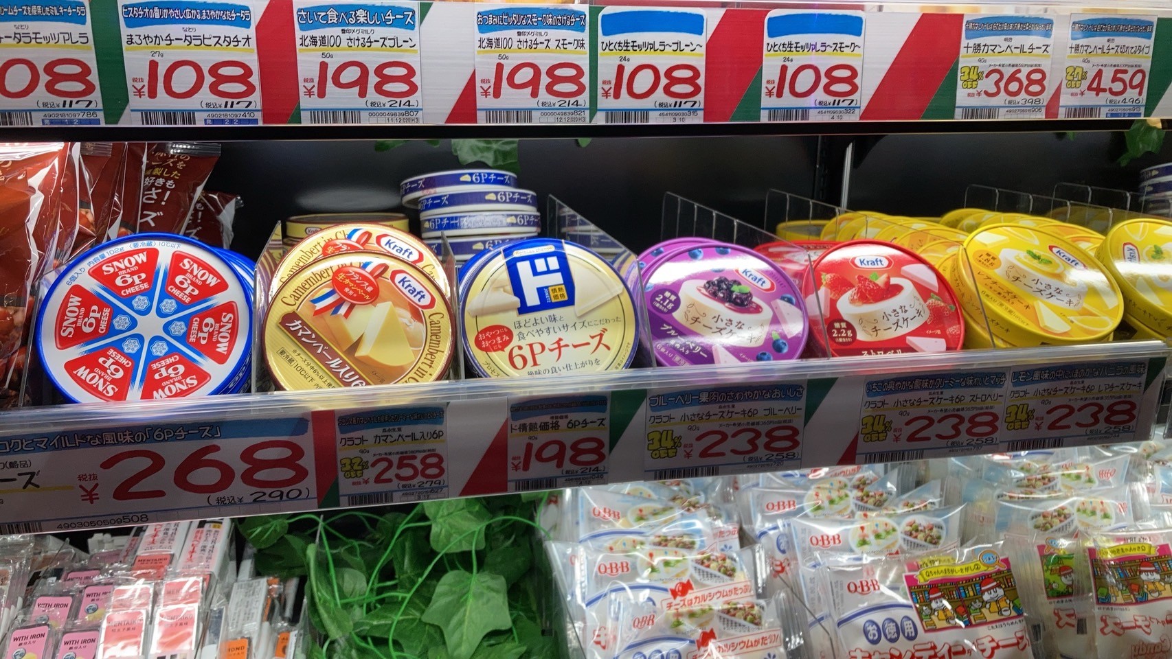 薄野 https://dtks6emtee9cj.cloudfront.net/20241130/234.jpg