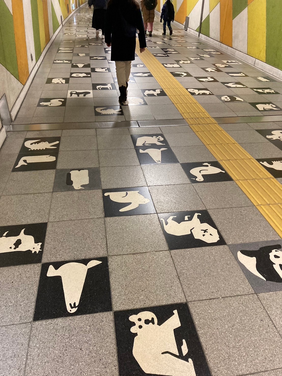 圓山動物園 https://dtks6emtee9cj.cloudfront.net/20241130/257.jpg