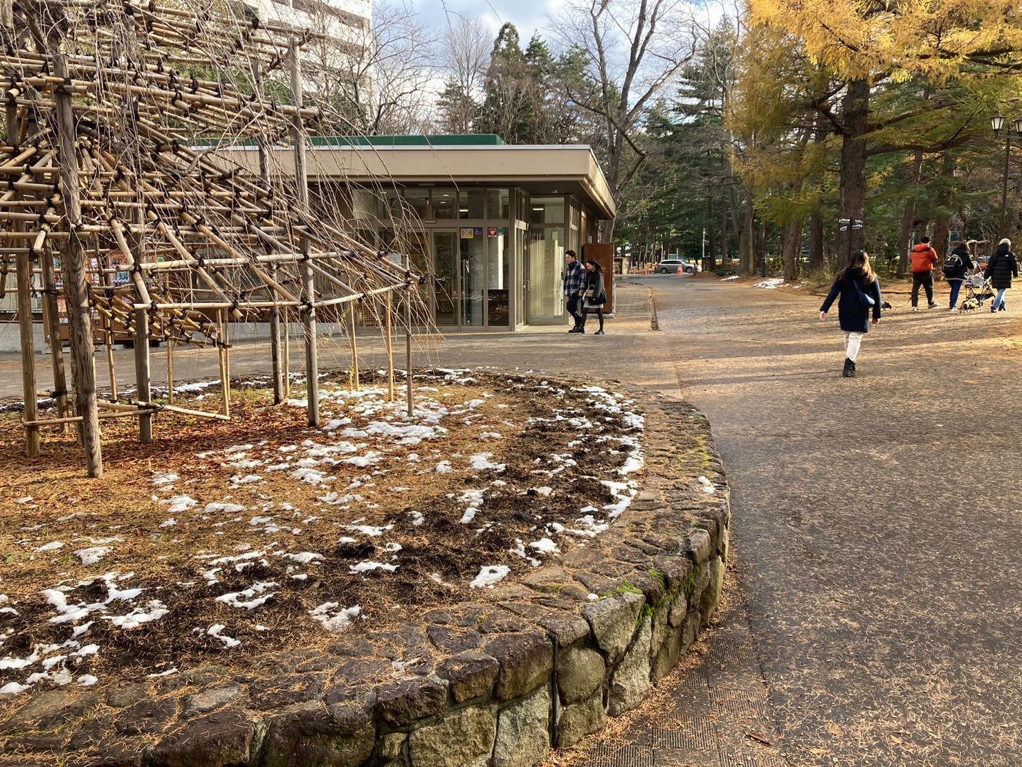圓山動物園 https://dtks6emtee9cj.cloudfront.net/20241130/262.jpg