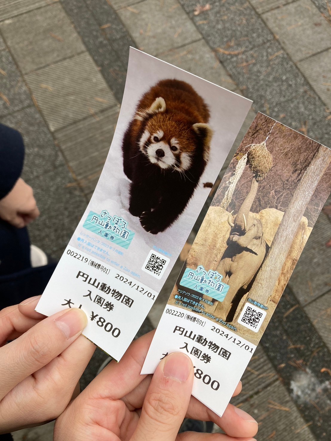 圓山動物園 https://dtks6emtee9cj.cloudfront.net/20241130/271.jpg