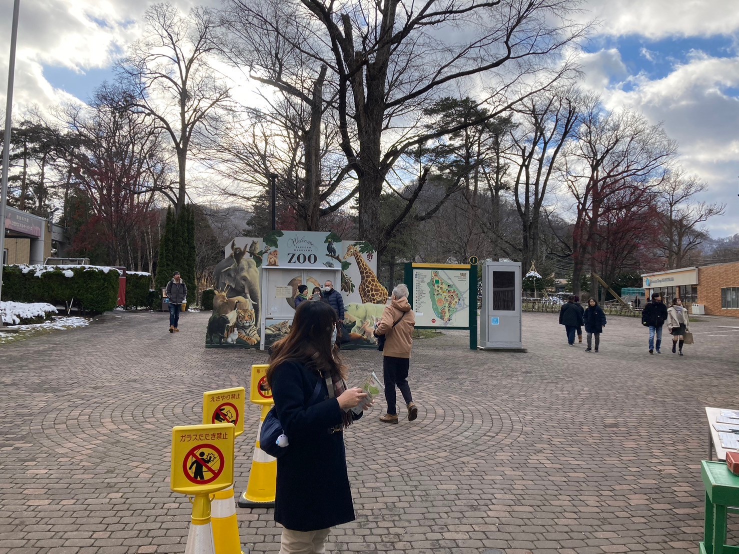 圓山動物園 https://dtks6emtee9cj.cloudfront.net/20241130/272.jpg