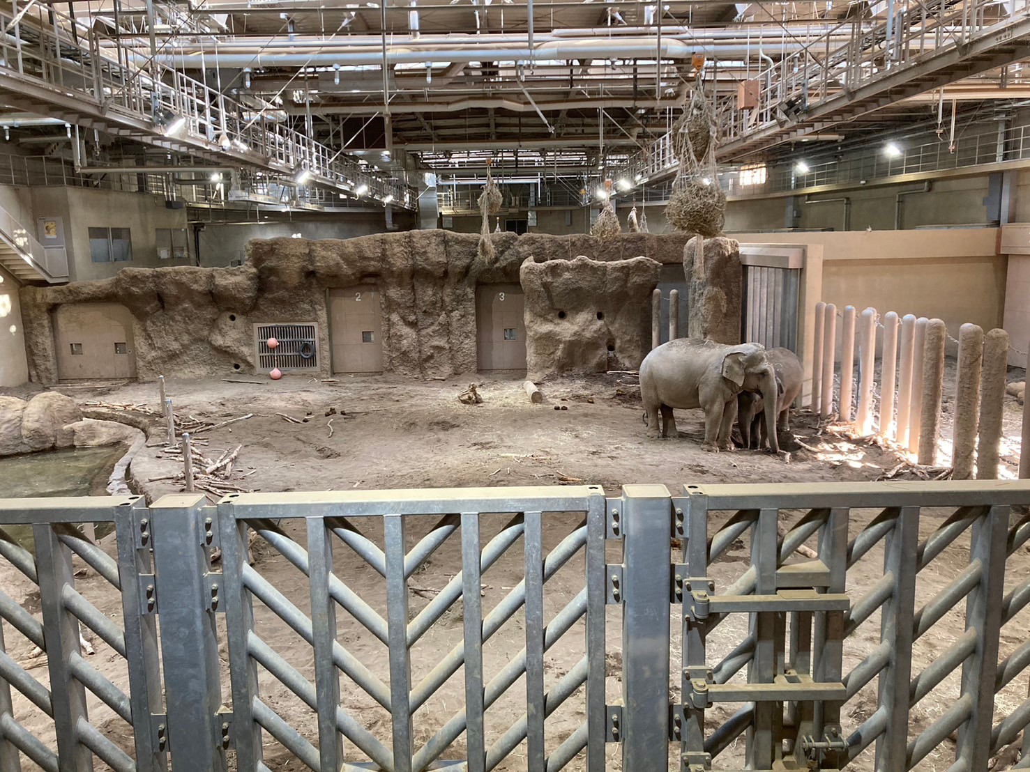 圓山動物園 https://dtks6emtee9cj.cloudfront.net/20241130/279.jpg