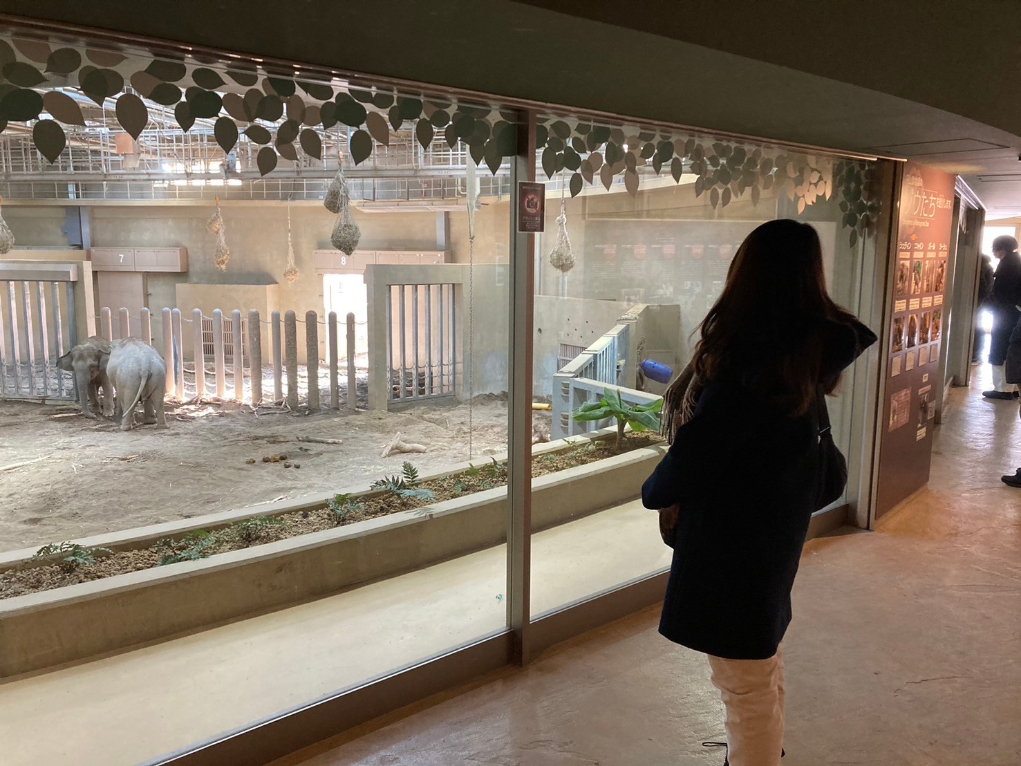 圓山動物園 https://dtks6emtee9cj.cloudfront.net/20241130/281.jpg