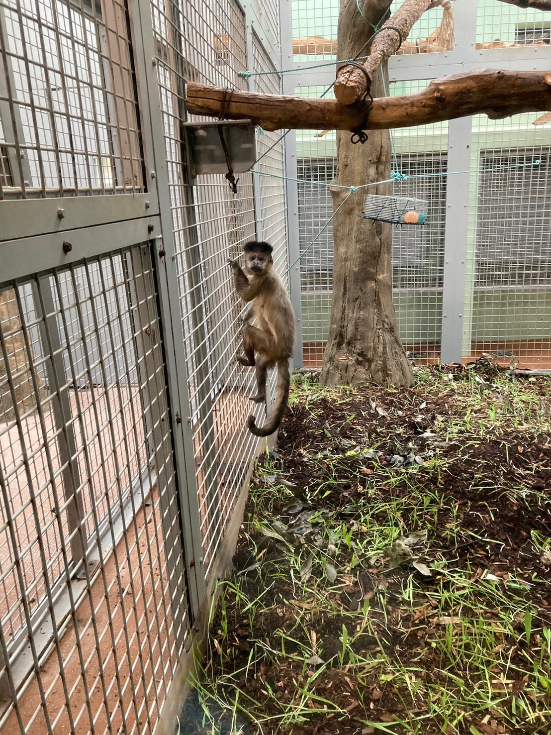 圓山動物園 https://dtks6emtee9cj.cloudfront.net/20241130/284.jpg