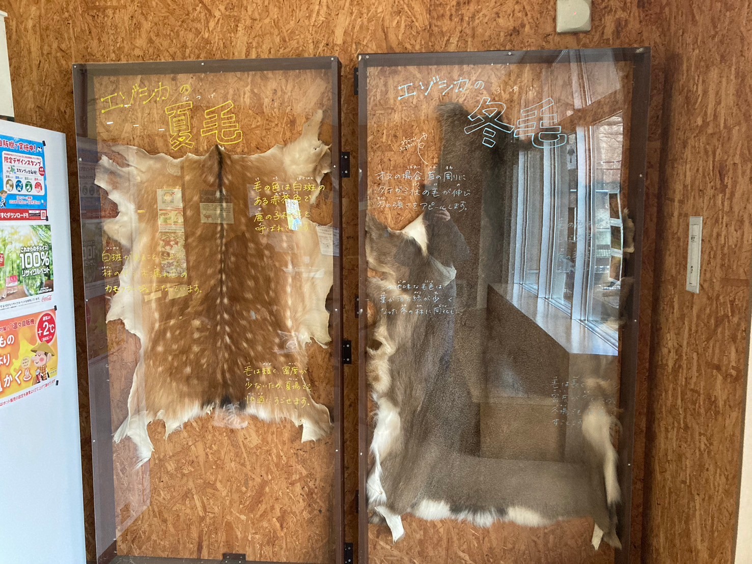 圓山動物園 https://dtks6emtee9cj.cloudfront.net/20241130/288.jpg