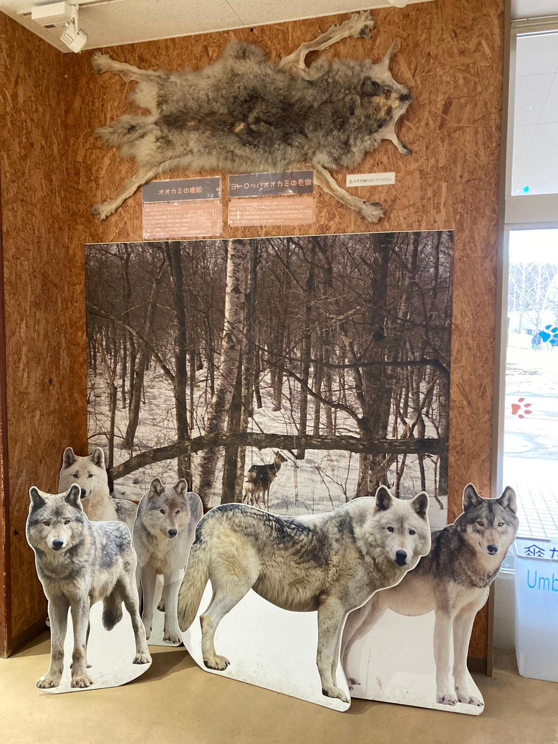 圓山動物園 https://dtks6emtee9cj.cloudfront.net/20241130/289.jpg