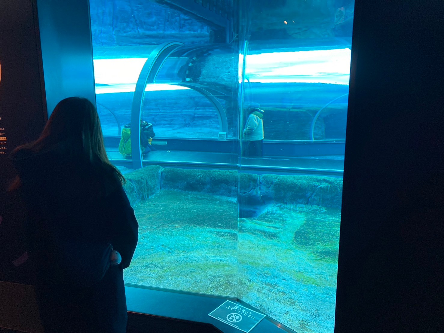 圓山動物園 https://dtks6emtee9cj.cloudfront.net/20241130/290.jpg