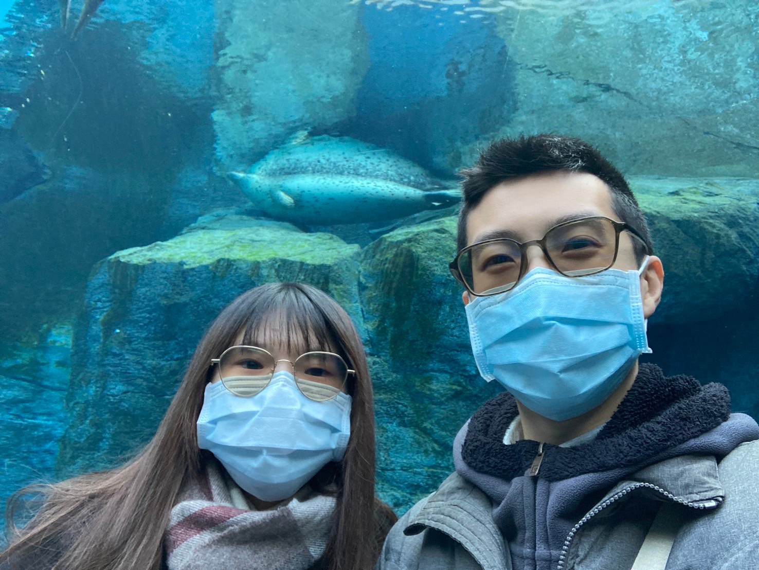 圓山動物園 https://dtks6emtee9cj.cloudfront.net/20241130/293.jpg