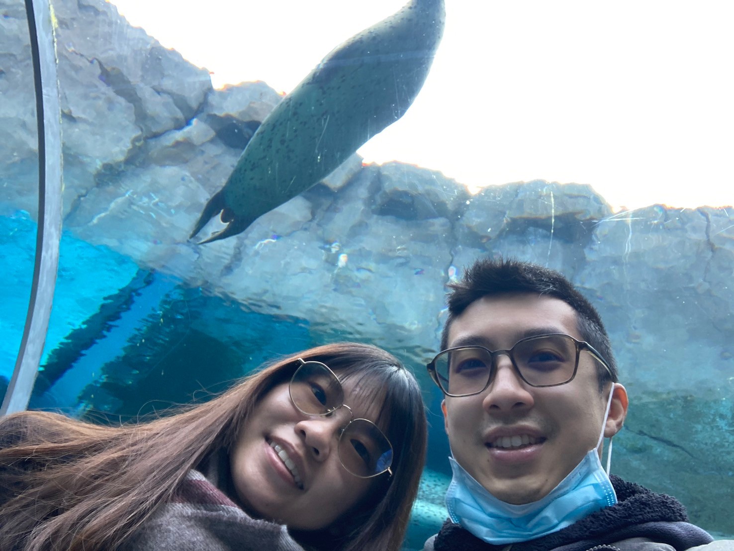 圓山動物園 https://dtks6emtee9cj.cloudfront.net/20241130/295.jpg