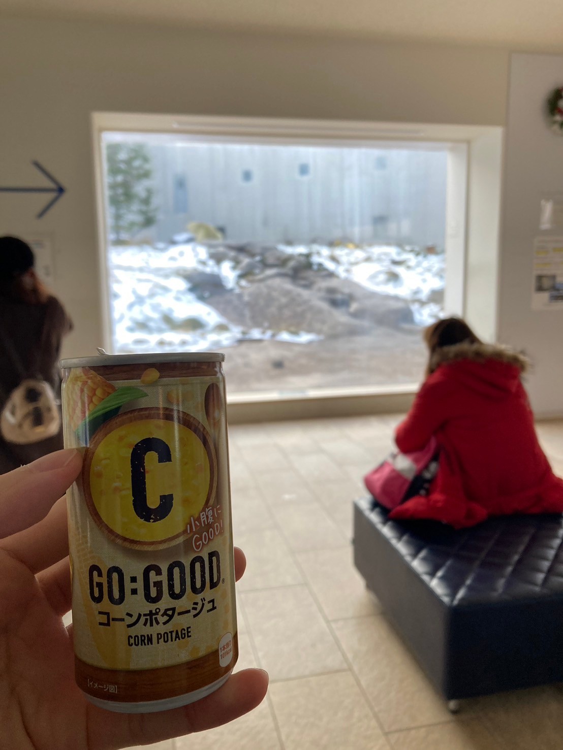 圓山動物園 https://dtks6emtee9cj.cloudfront.net/20241130/301.jpg