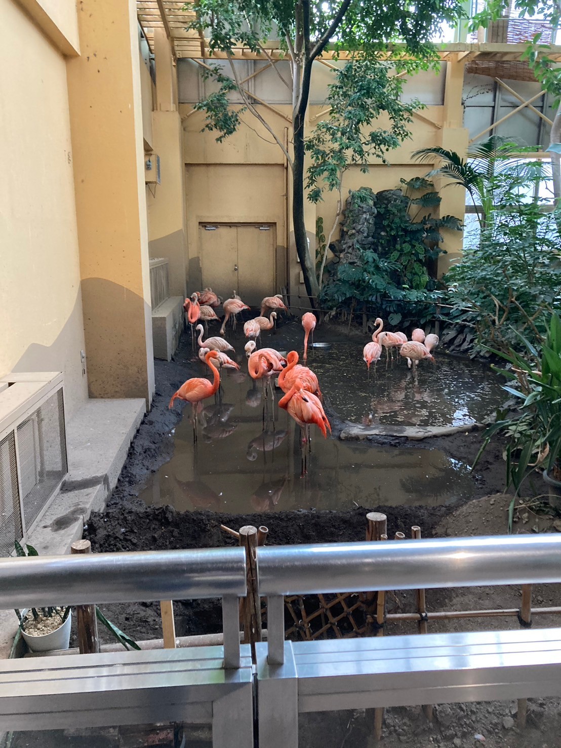 圓山動物園 https://dtks6emtee9cj.cloudfront.net/20241130/307.jpg