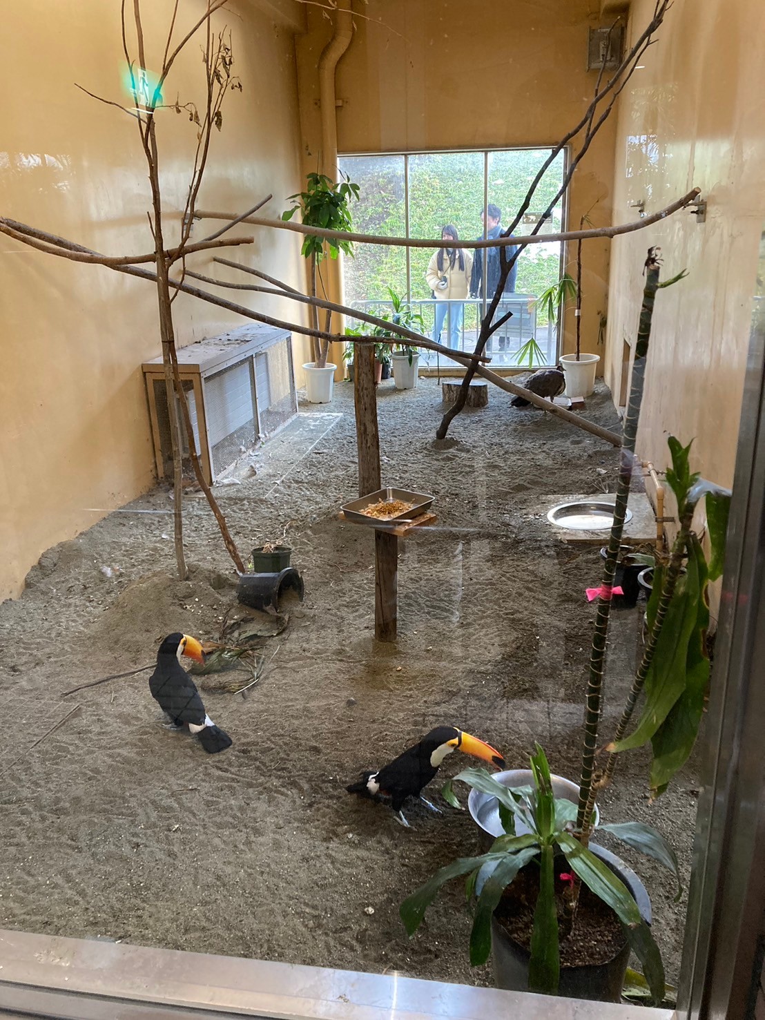 圓山動物園 https://dtks6emtee9cj.cloudfront.net/20241130/308.jpg