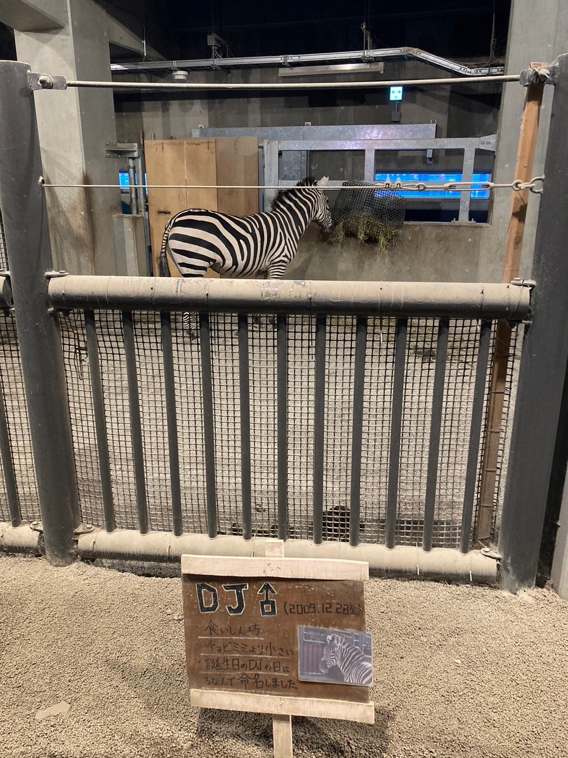 圓山動物園 https://dtks6emtee9cj.cloudfront.net/20241130/319.jpg