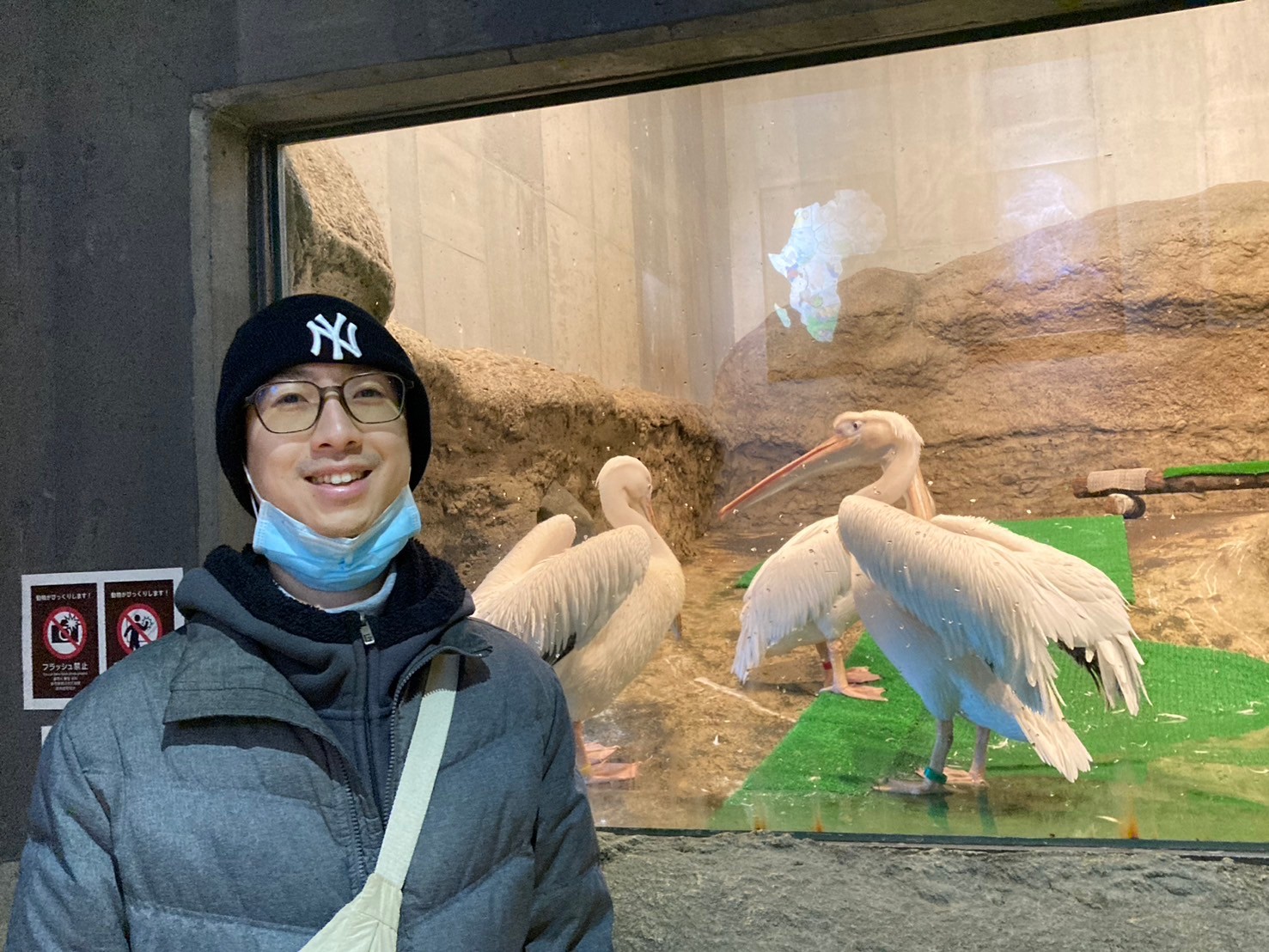 圓山動物園 https://dtks6emtee9cj.cloudfront.net/20241130/329.jpg