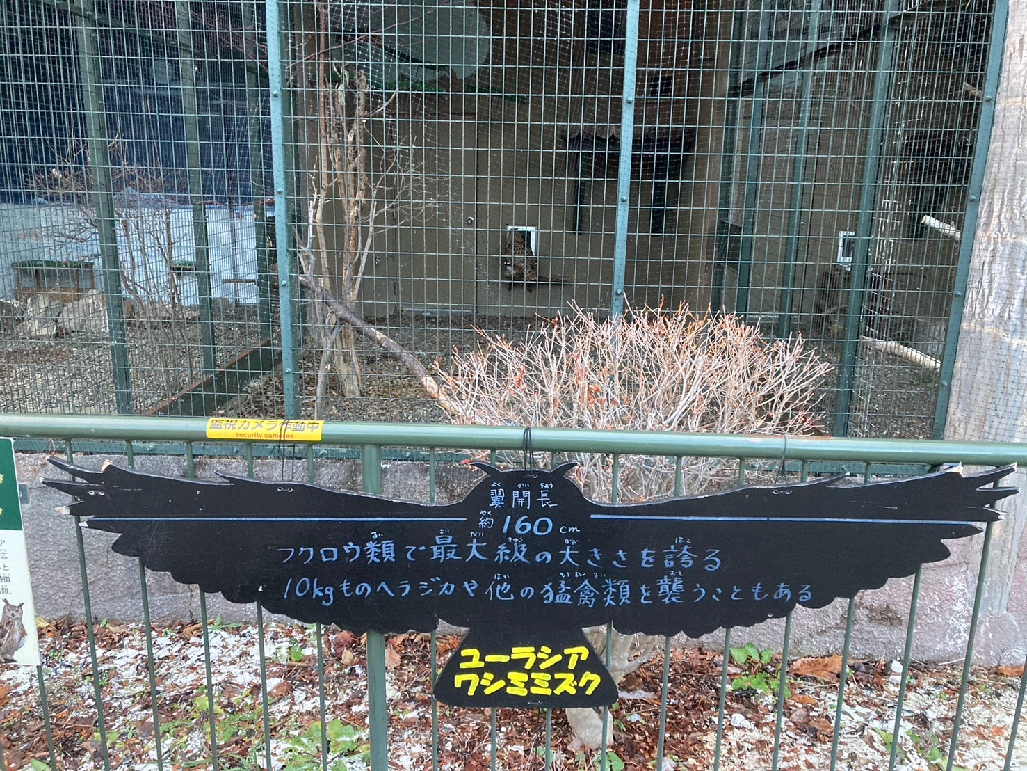 圓山動物園 https://dtks6emtee9cj.cloudfront.net/20241130/334.jpg