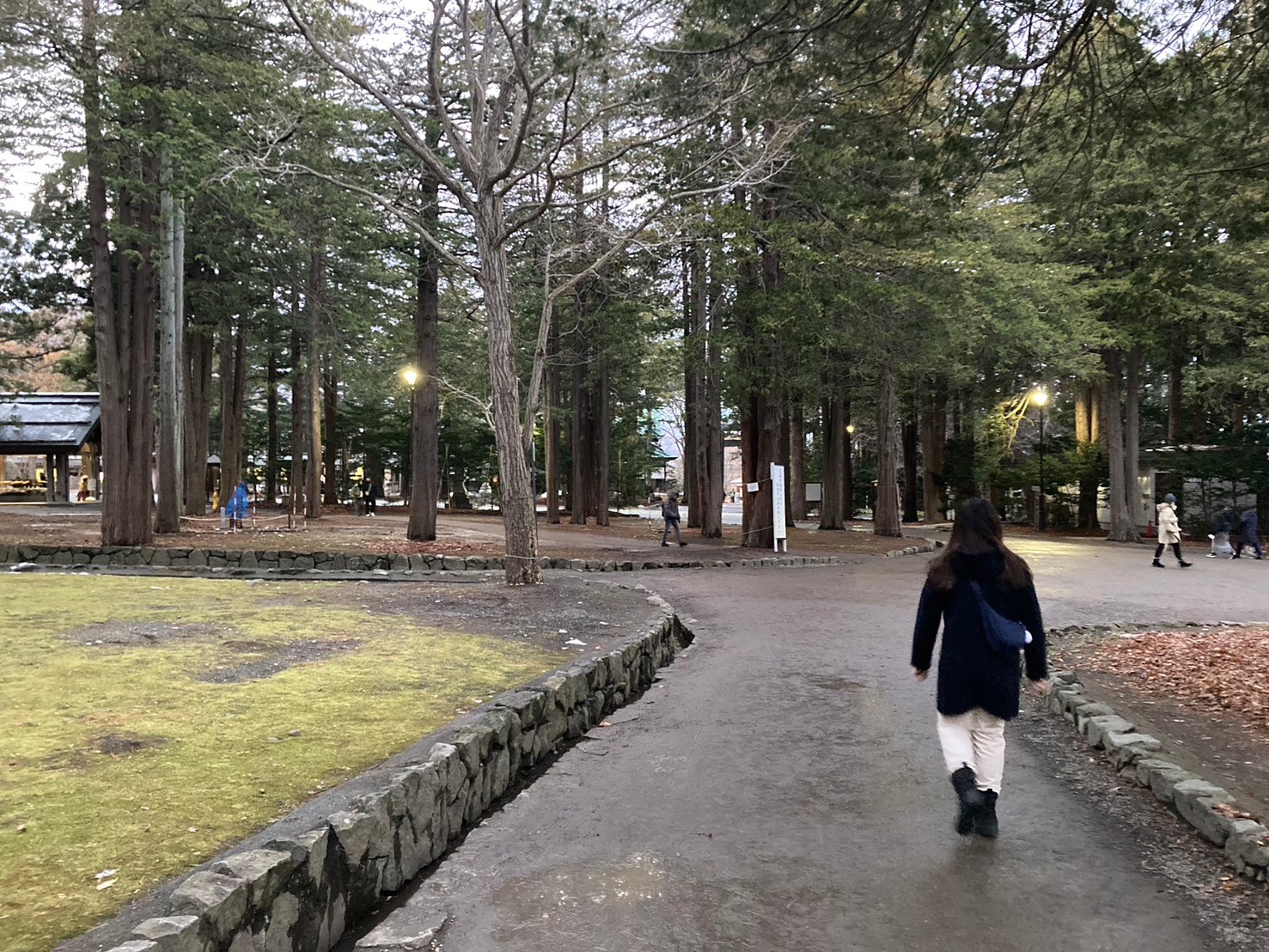 北海道神宮 https://dtks6emtee9cj.cloudfront.net/20241130/342.jpg