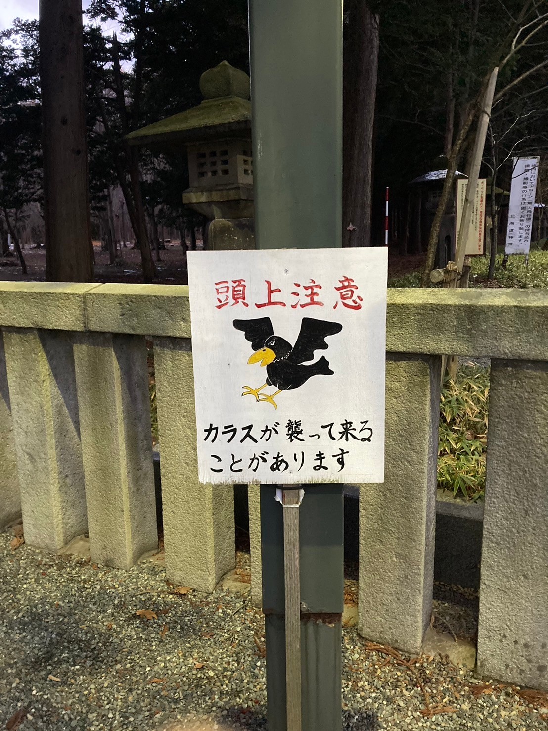 北海道神宮 https://dtks6emtee9cj.cloudfront.net/20241130/346.jpg