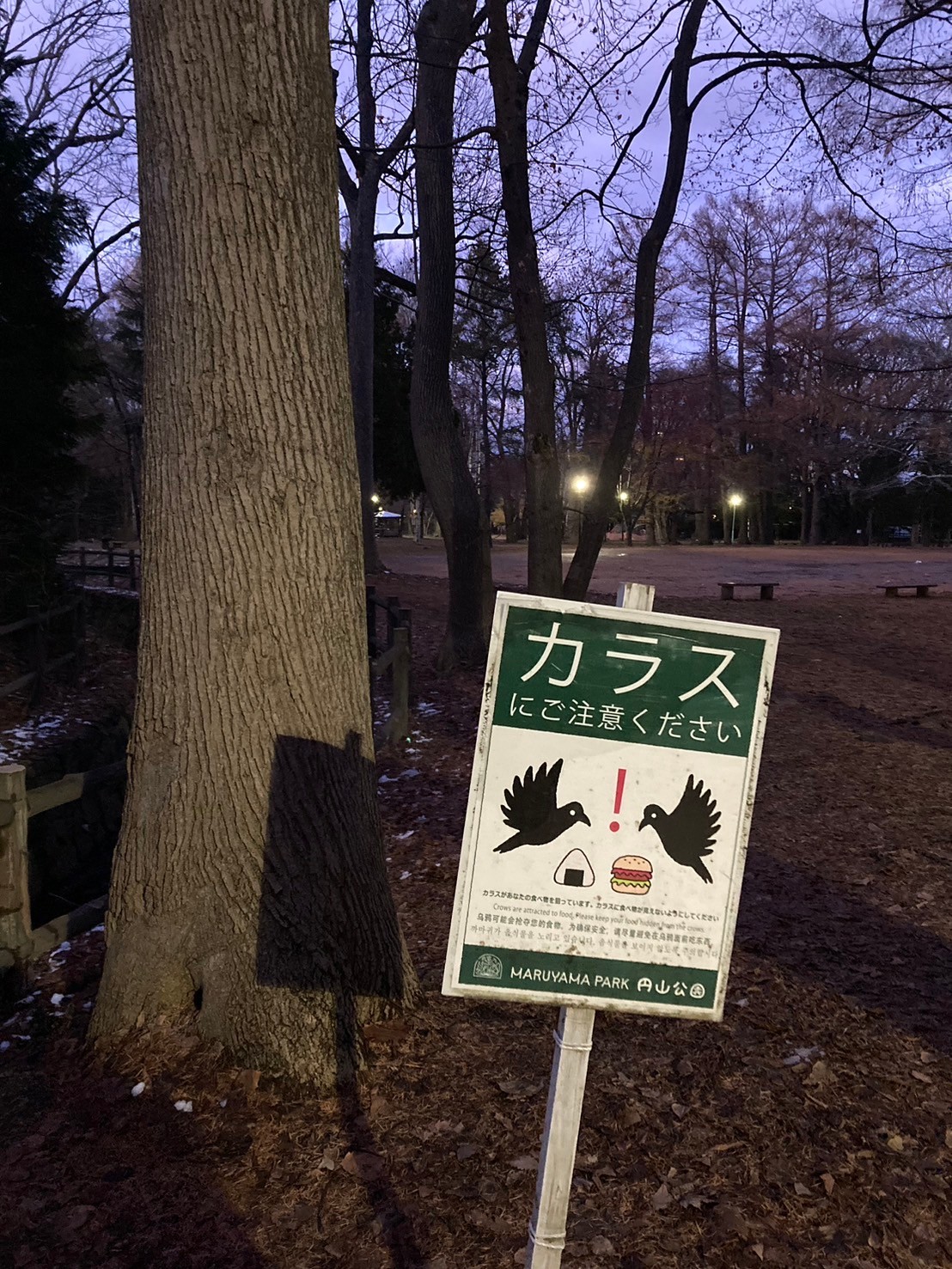 北海道神宮 https://dtks6emtee9cj.cloudfront.net/20241130/350.jpg