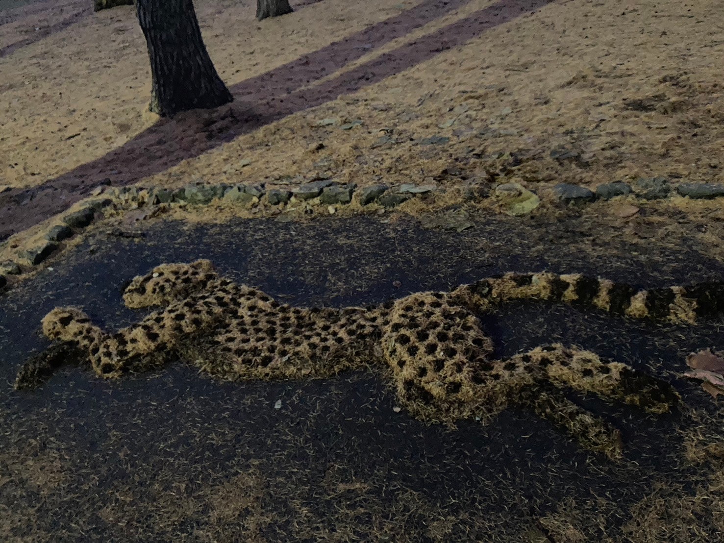 北海道神宮 https://dtks6emtee9cj.cloudfront.net/20241130/351.jpg