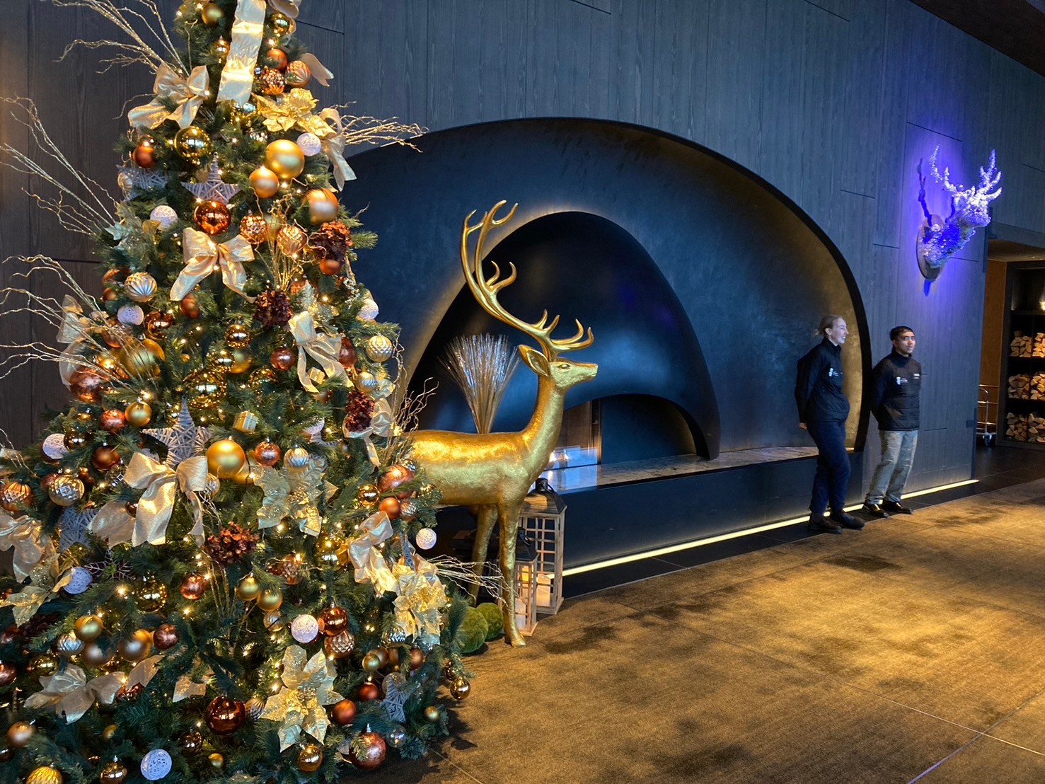 Setsu https://dtks6emtee9cj.cloudfront.net/20241130/37.jpg