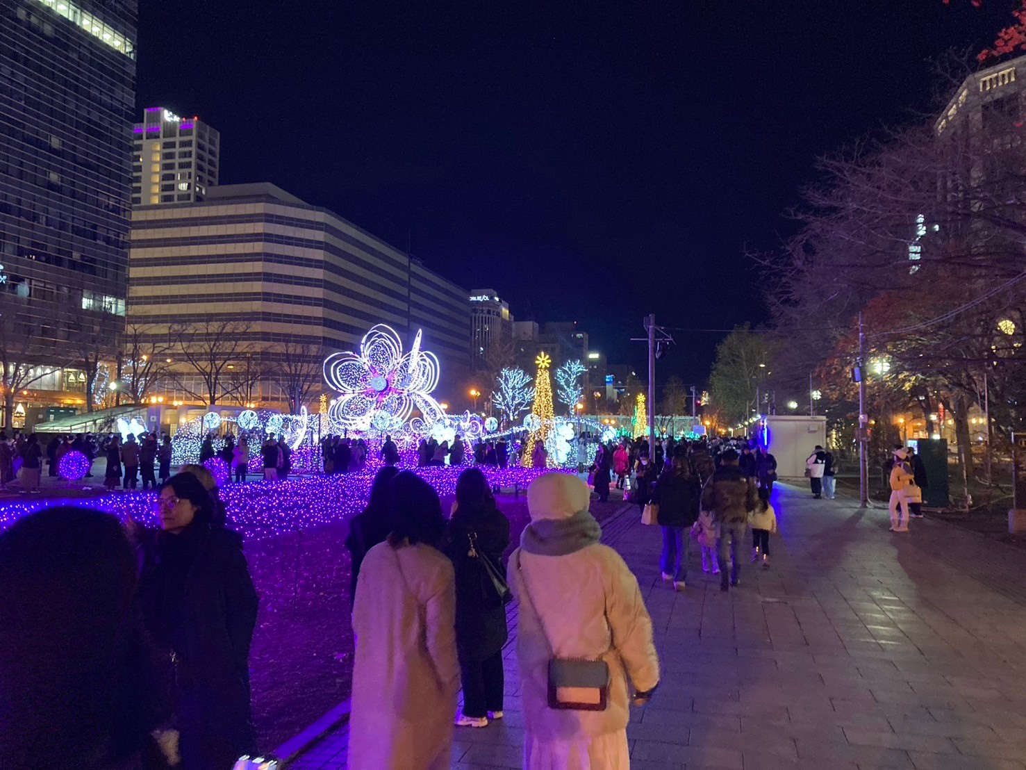 燈 https://dtks6emtee9cj.cloudfront.net/20241130/490.jpg