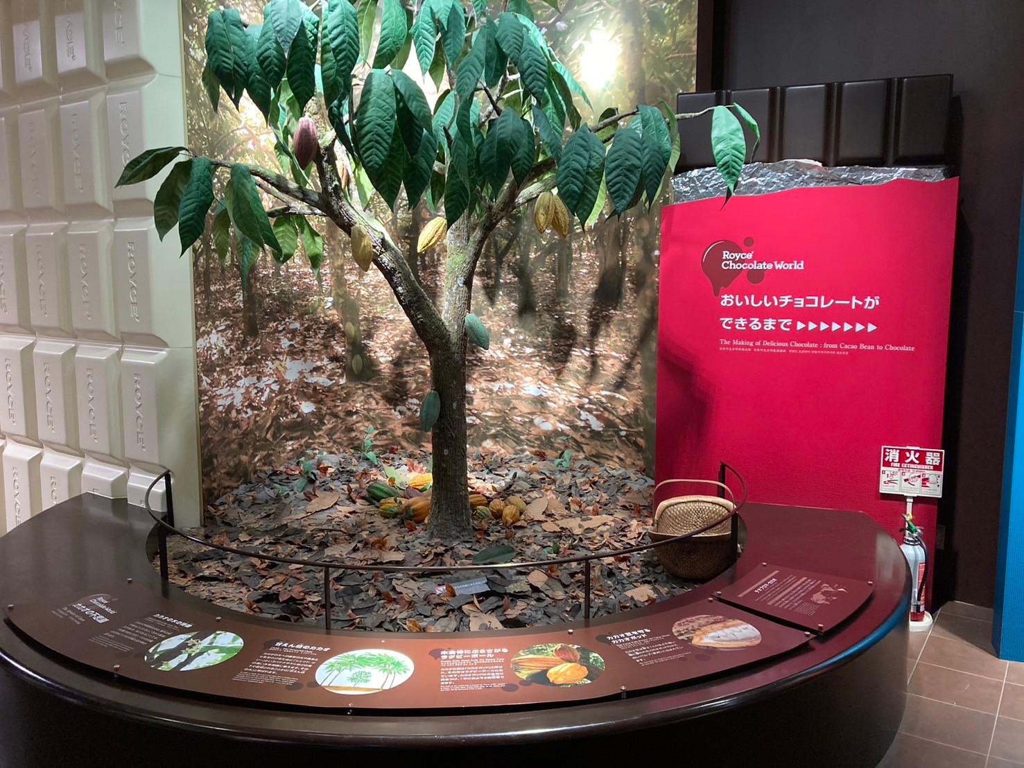 新千歲機場 https://dtks6emtee9cj.cloudfront.net/20241130/532.jpg