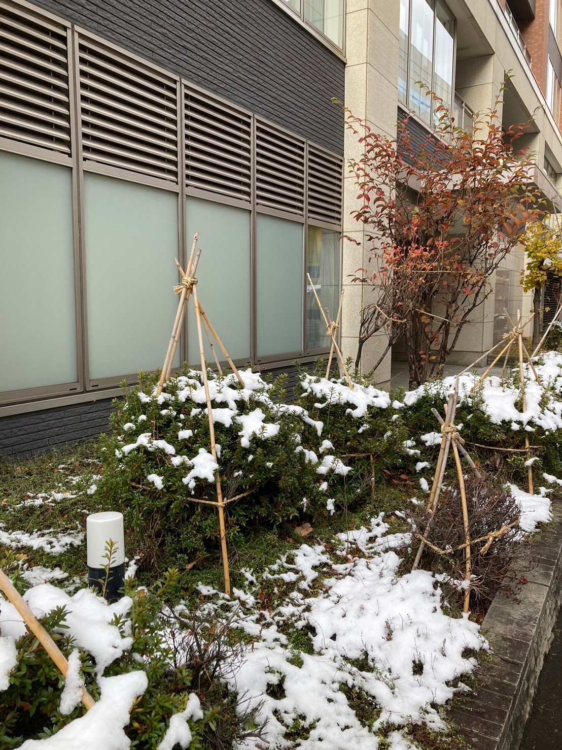 雪 https://dtks6emtee9cj.cloudfront.net/20241130/564.jpg