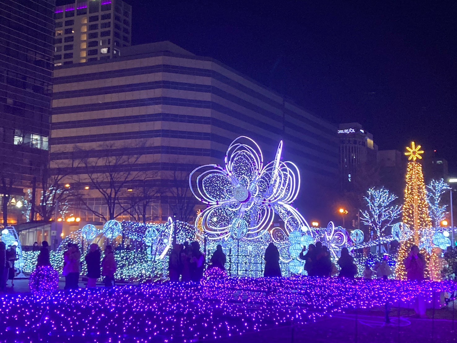 燈 https://dtks6emtee9cj.cloudfront.net/20241130/650.jpg