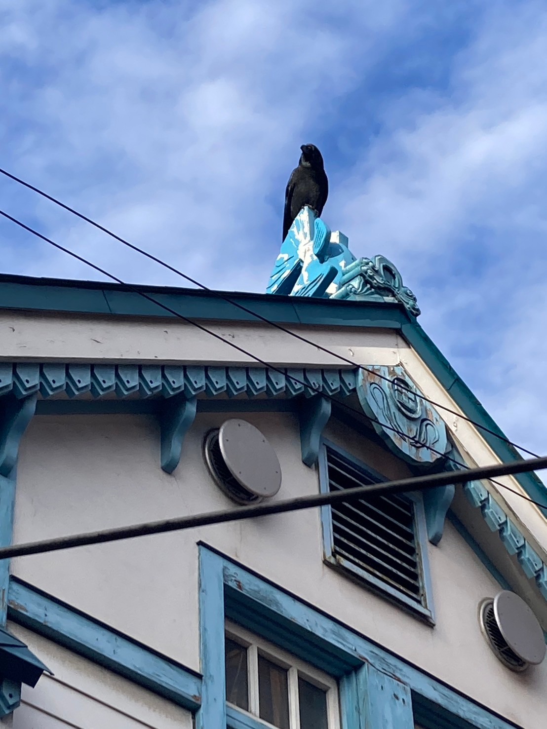 小樽下午茶 https://dtks6emtee9cj.cloudfront.net/20241130/654.jpg