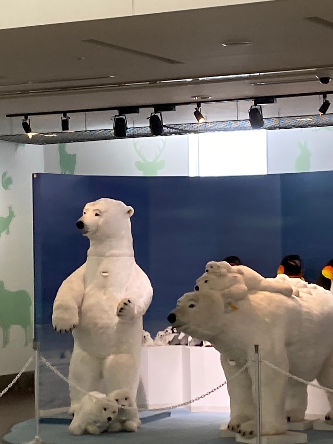 機場 https://dtks6emtee9cj.cloudfront.net/20241130/817.jpg